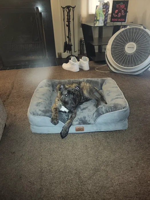 Banfield Pet Hospital 12