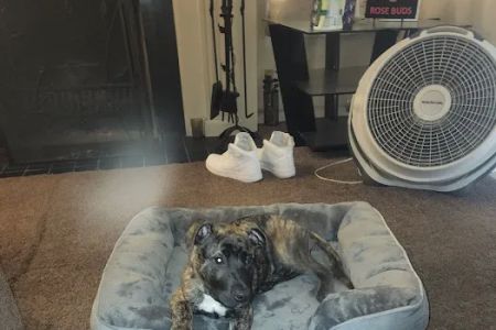 Banfield Pet Hospital