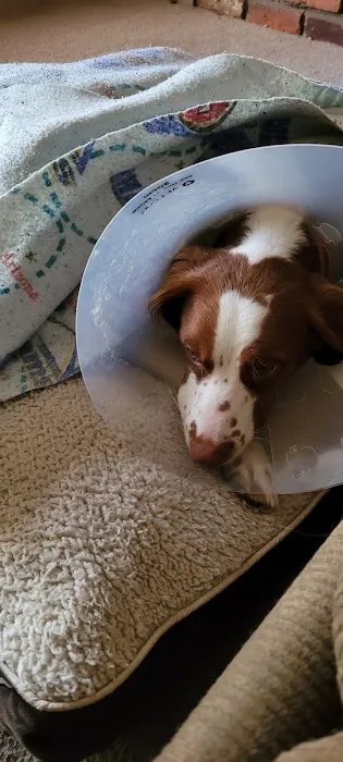 Banfield Pet Hospital 12