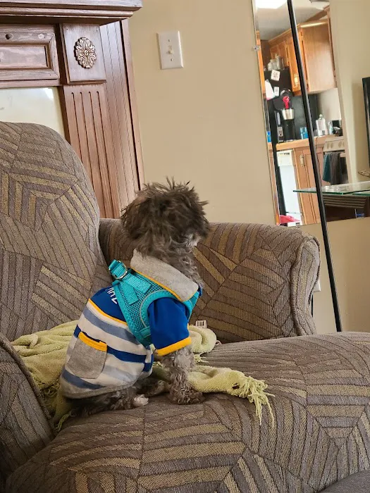 Salem Veterinary Services 1