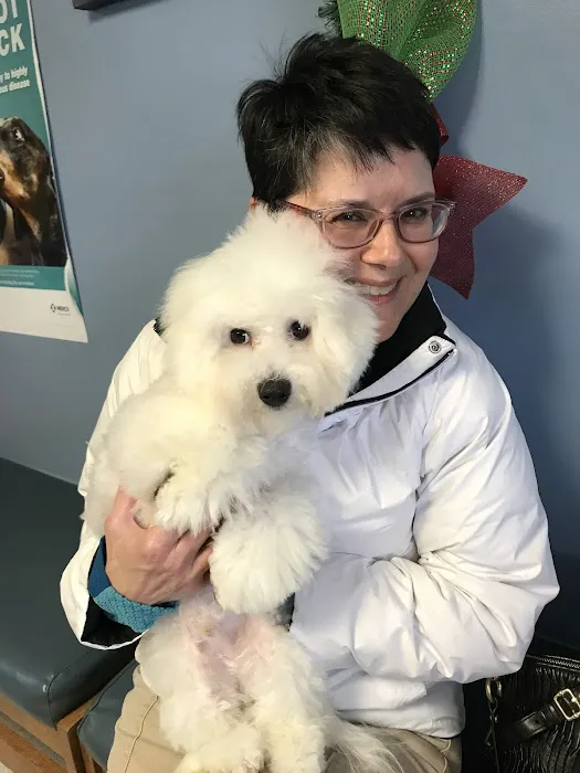 Remrock Farms Veterinary Services 1