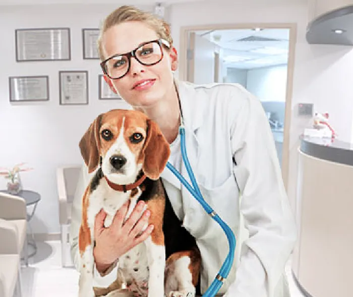 Remrock Farms Veterinary Services 7