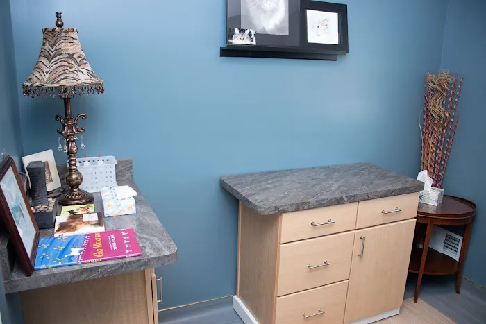 Country Cat Clinic 1
