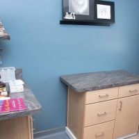 Country Cat Clinic ico
