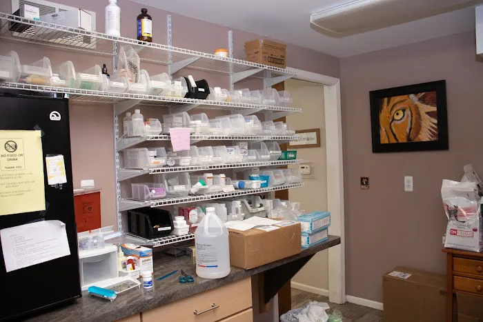 Country Cat Clinic 10