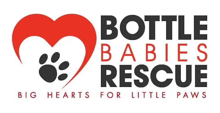 st. Roch Rescue Clinic 12