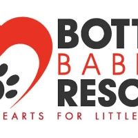 st. Roch Rescue Clinic ico