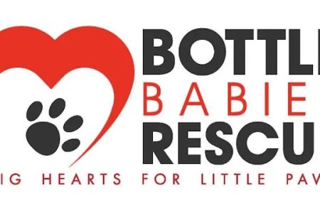 st. Roch Rescue Clinic