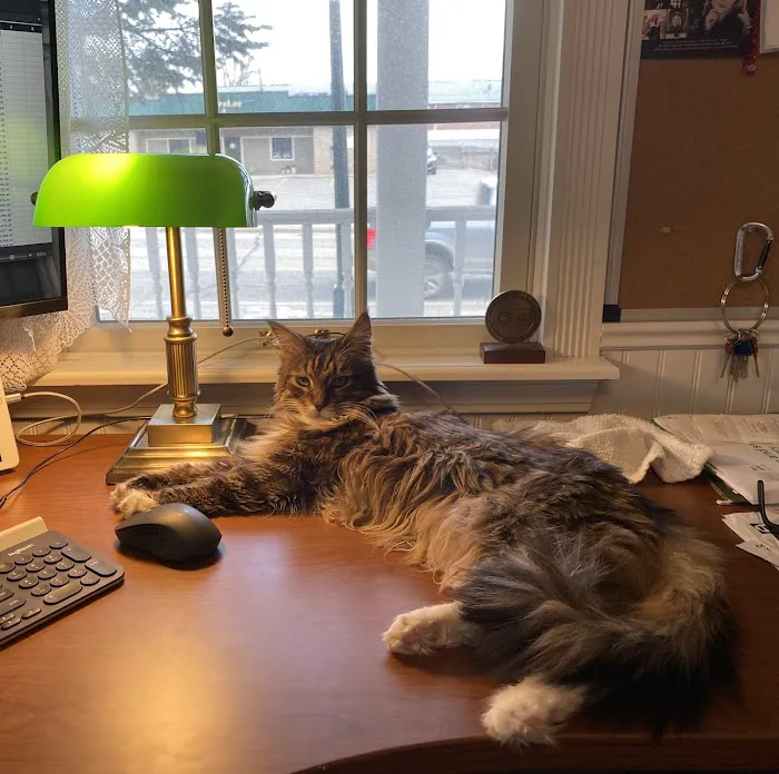 Exotic Purr 4