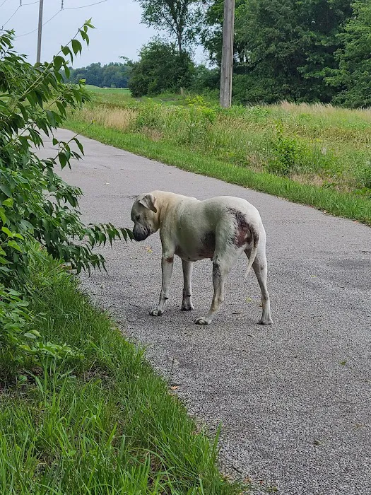 Tri-County Veterinary Services 3
