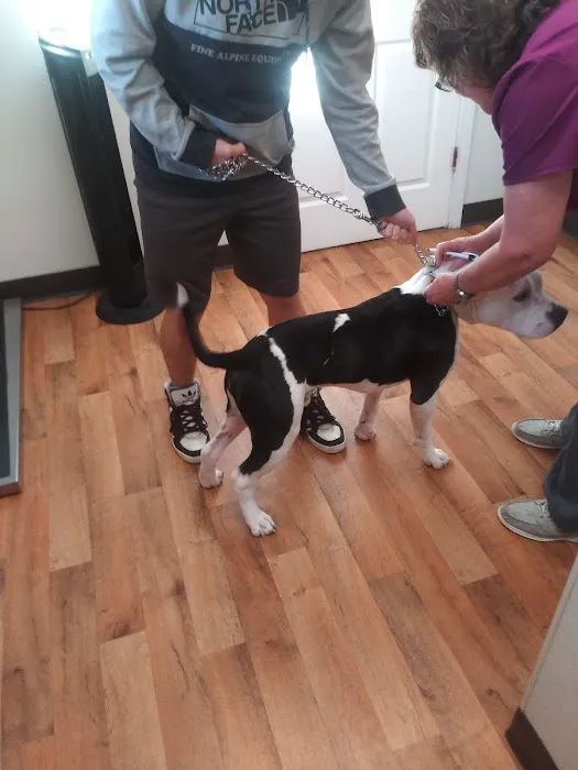 Tri-County Veterinary Services 2