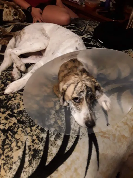 Heartland Veterinary Center 10