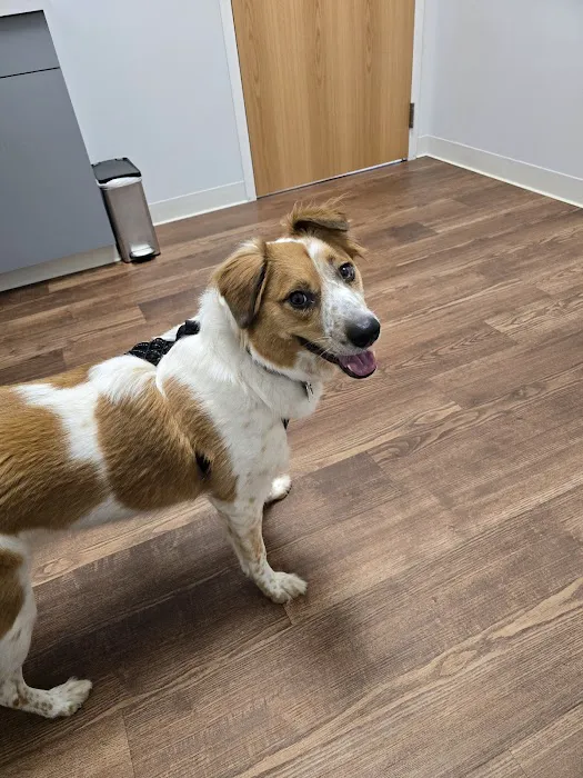 Heartland Veterinary Center 7