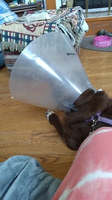 Heartland Veterinary Center 3