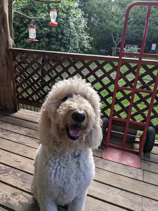 Farmington Animal Hospital 3