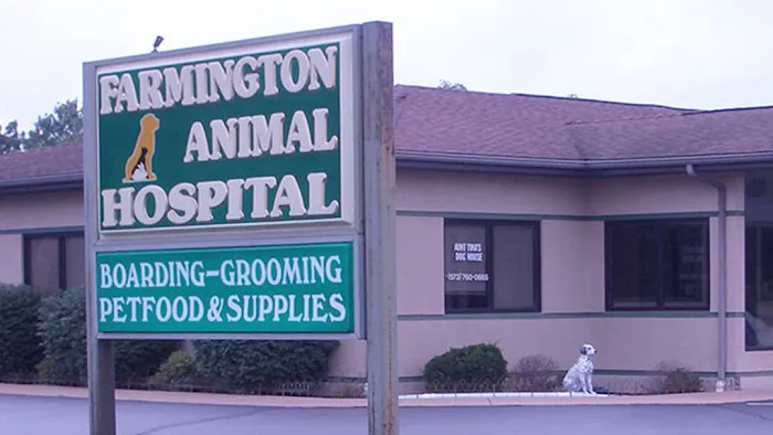 Farmington Animal Hospital 5