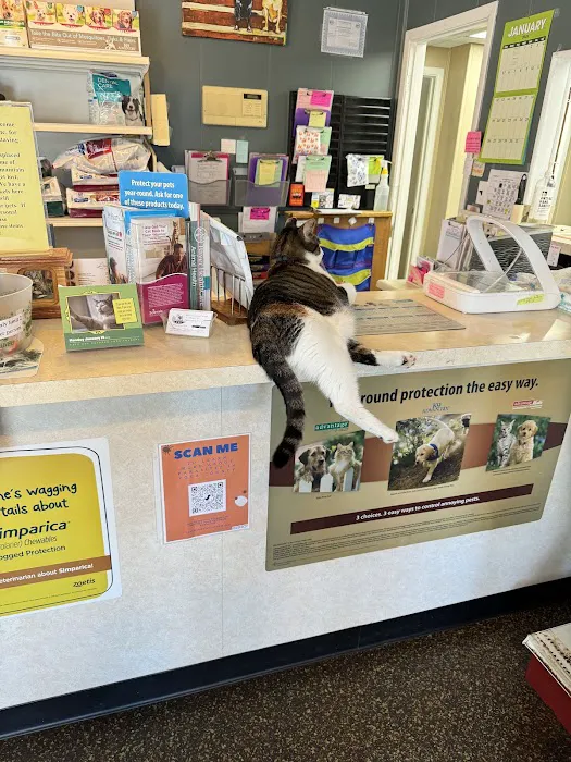 Mascoutah Animal Hospital 2
