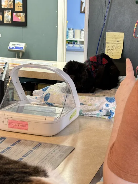 Mascoutah Animal Hospital 5