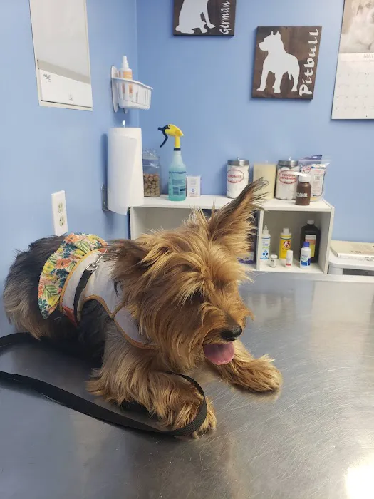 Mascoutah Animal Hospital 7