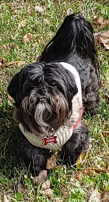 Scott AFB Veterinary Treatment Facility 3