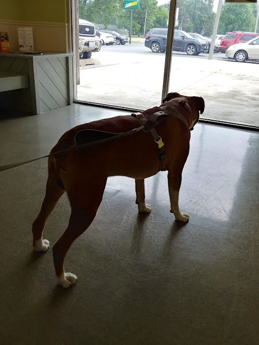 Animal Hospital of O'Fallon 5