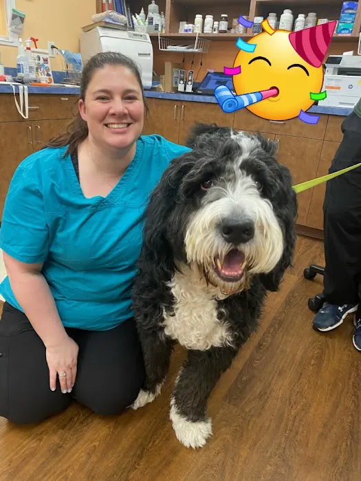 Davis Pet Hospital 7