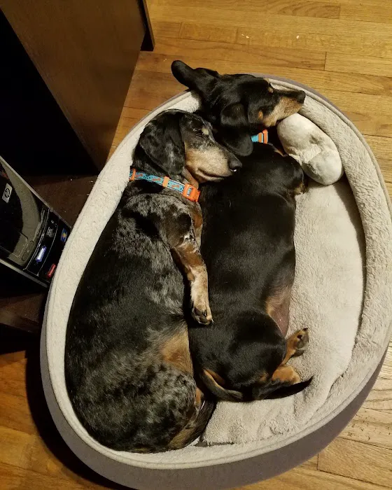 Davis Pet Hospital 5