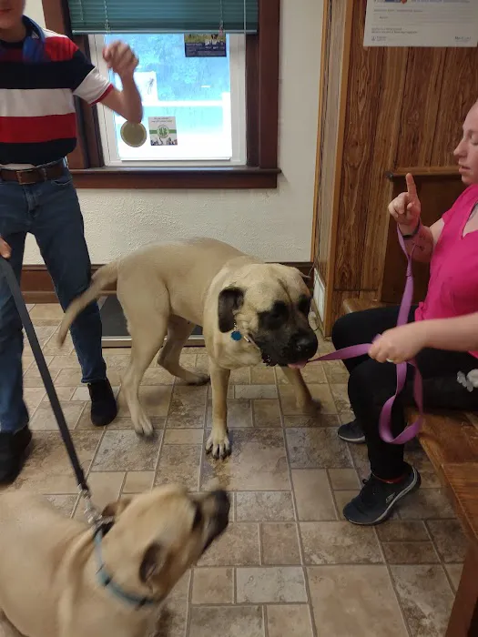 St Francis Animal Hospital 5