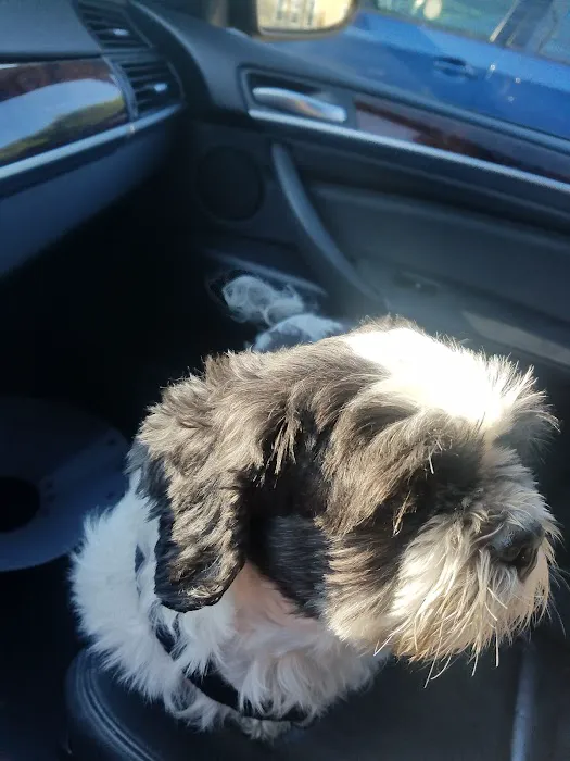 St Francis Animal Hospital 4