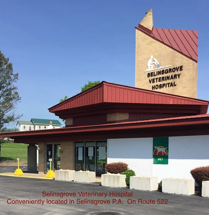Selinsgrove Veterinary Hospital 6