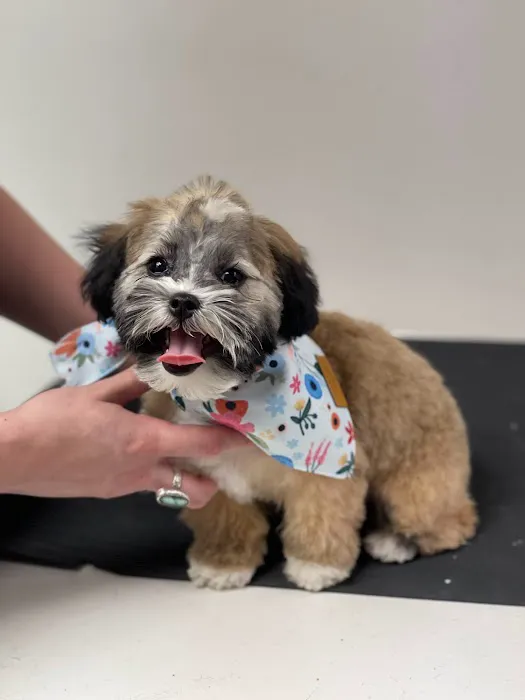 Selinsgrove Veterinary Hospital 2