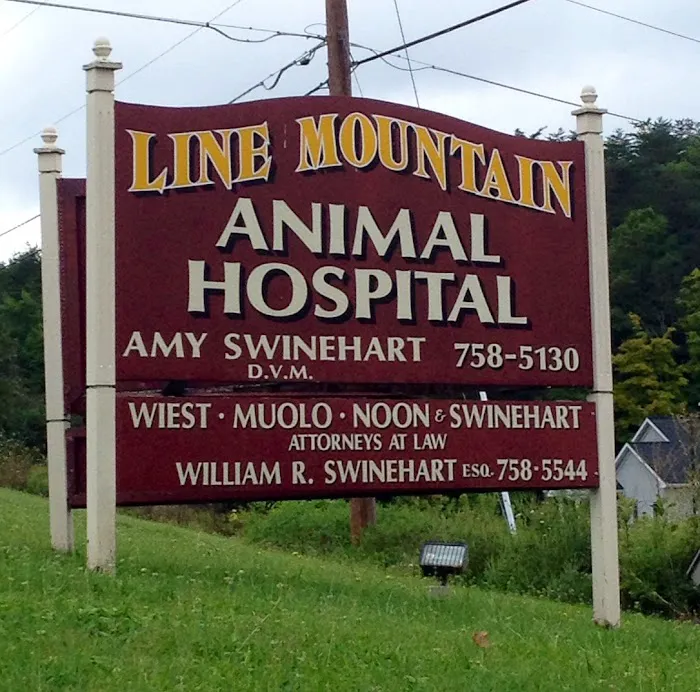 Line Mountain Animal Hospital 8