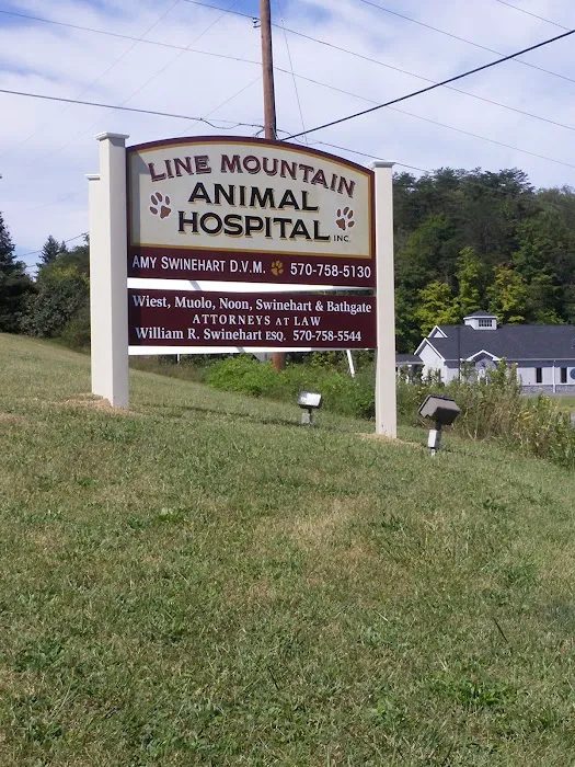 Line Mountain Animal Hospital 5