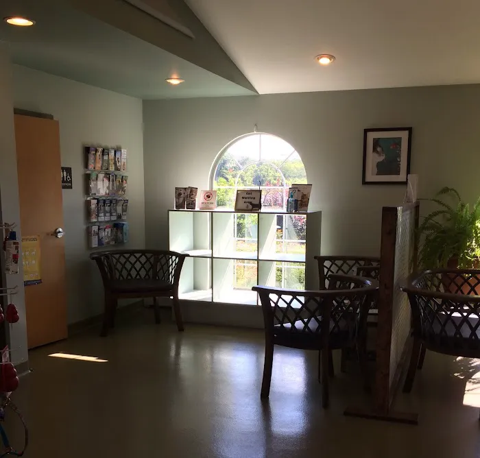 Companion Animal Hospital 1