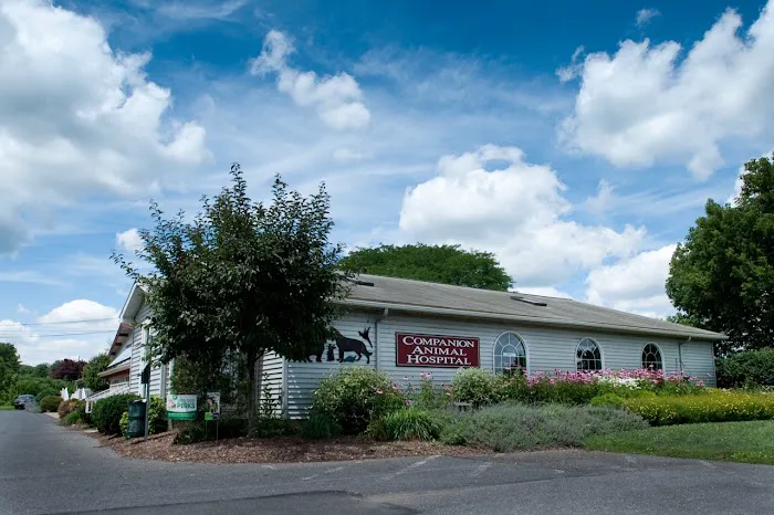 Companion Animal Hospital 4