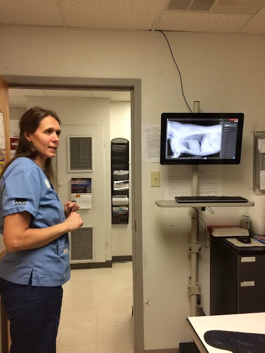 Companion Animal Hospital 10
