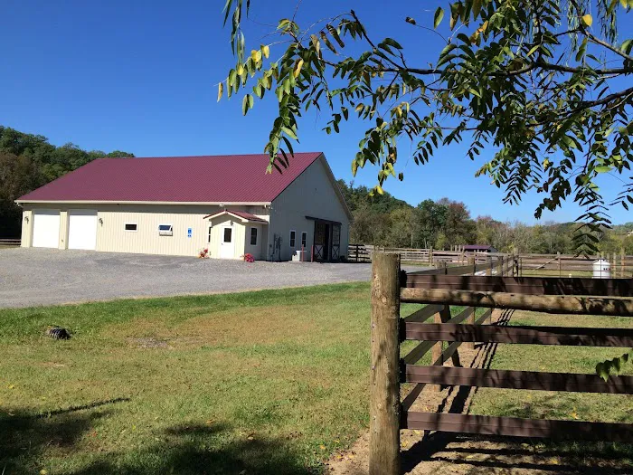 Quodomine Veterinary Services 1