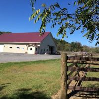 Quodomine Veterinary Services ico