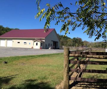 Quodomine Veterinary Services