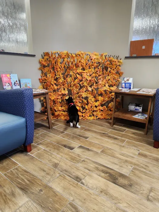 Bloomsburg Veterinary Hospital, Inc 10