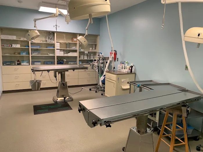 Bloomsburg Veterinary Hospital, Inc 8