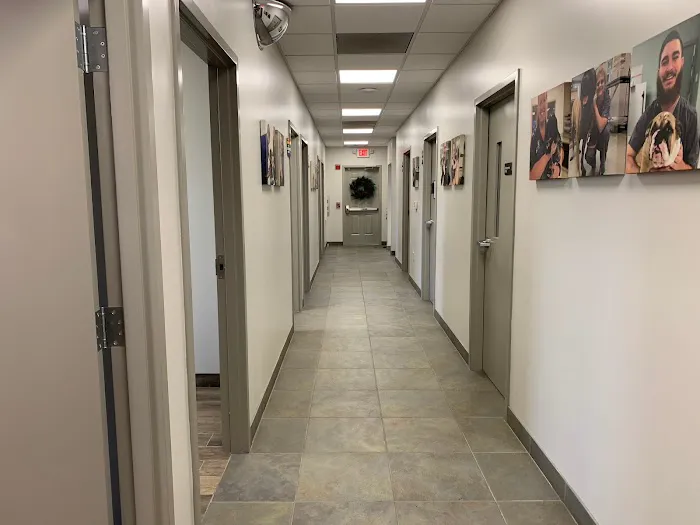 Bloomsburg Veterinary Hospital, Inc 2
