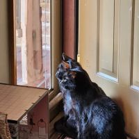 Bloomsburg Veterinary Hospital, Inc ico