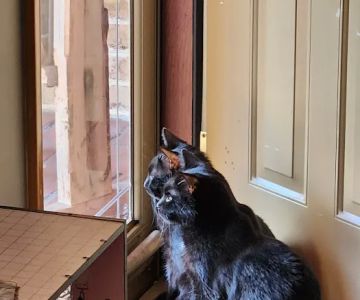 Bloomsburg Veterinary Hospital, Inc