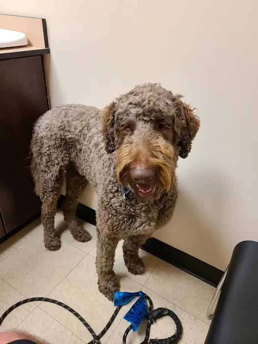 Rush Veterinary Center 6