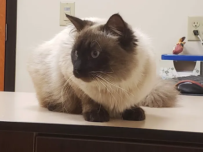 Rush Veterinary Center 8