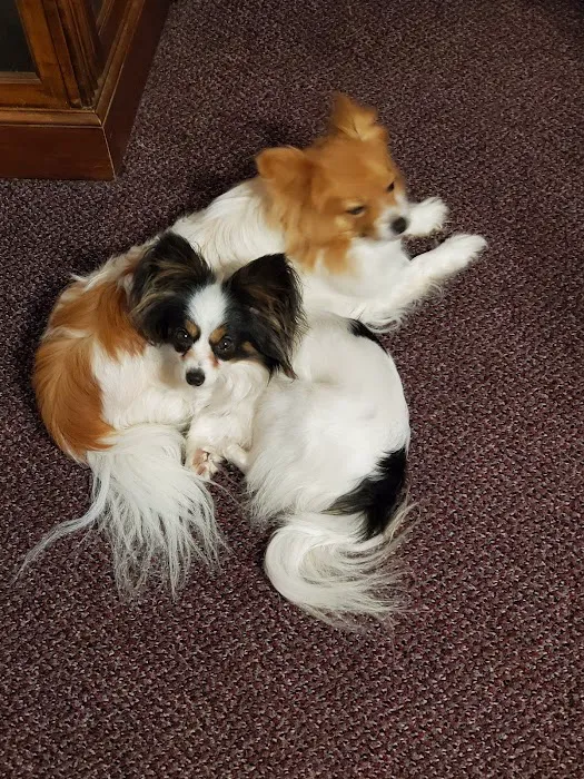 Rush Veterinary Center 9