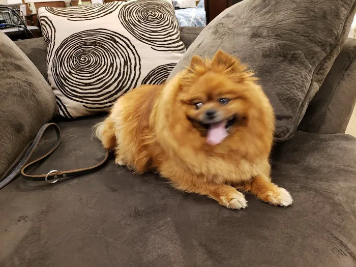 Rush Veterinary Center 10