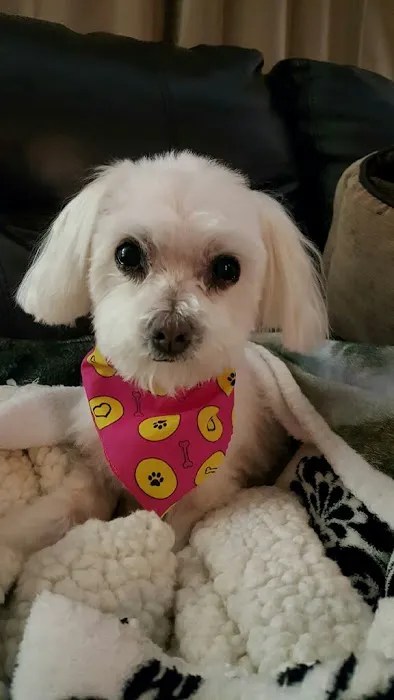 Rush Veterinary Center 2
