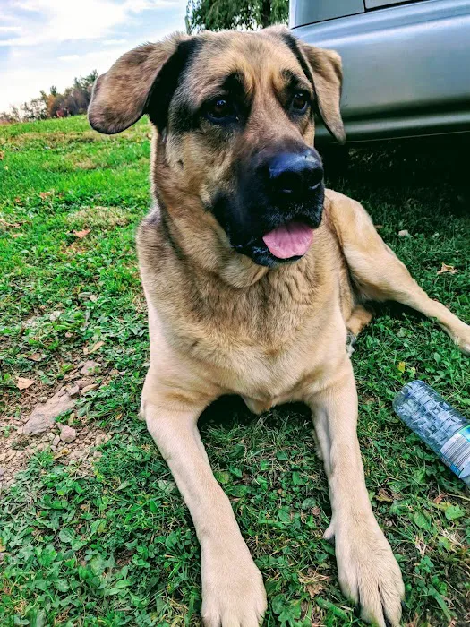Rush Veterinary Center 7